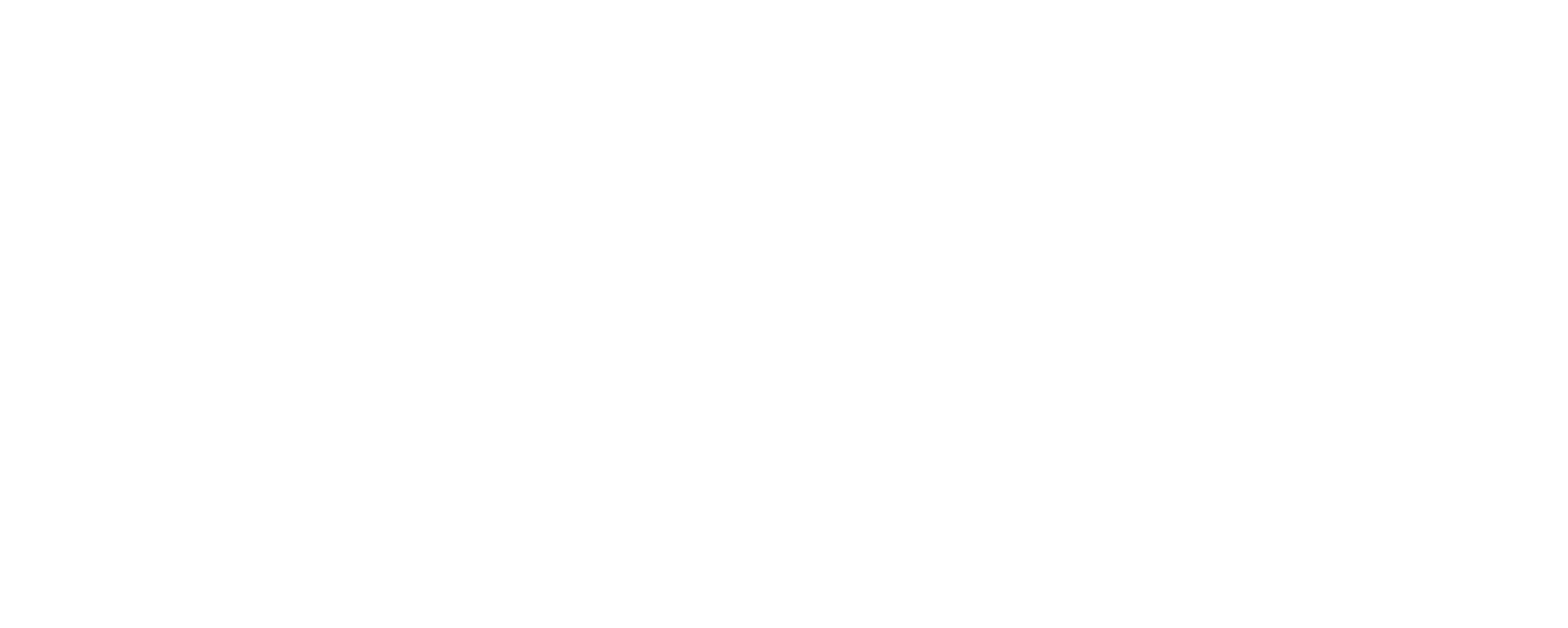 Learnetic logo