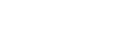 learnetic logo